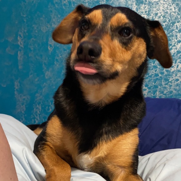 MEET MY PETS (: - Picture 11 of 16